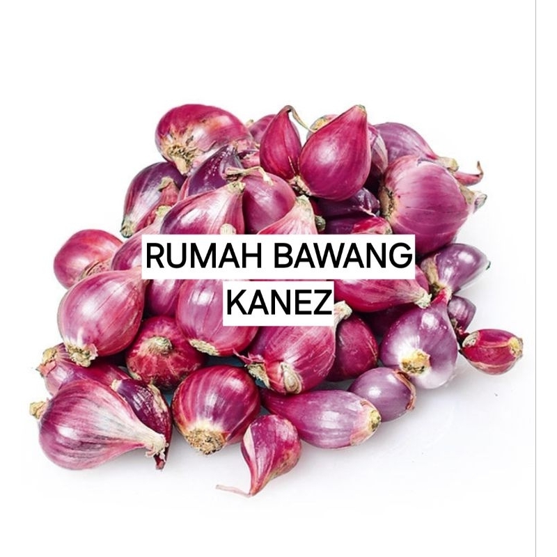 

BAWANG MERAH BREBES SUPER