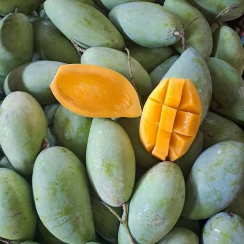 

MANGGA GOLEK MADU/ OKYONG ASLI INDRAMAYU 1KG