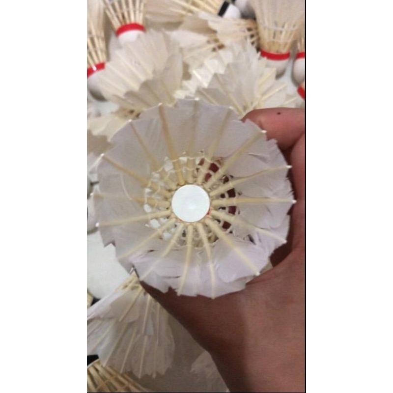 shuttlecock second/ kok bekas/ cock drilling 90-95%