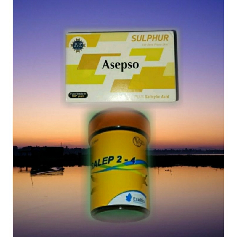 exeltis nufarindo salep 2-4 plus sabun asepso sulphur obat infeksi jamur gatal selangkangan jerawat 