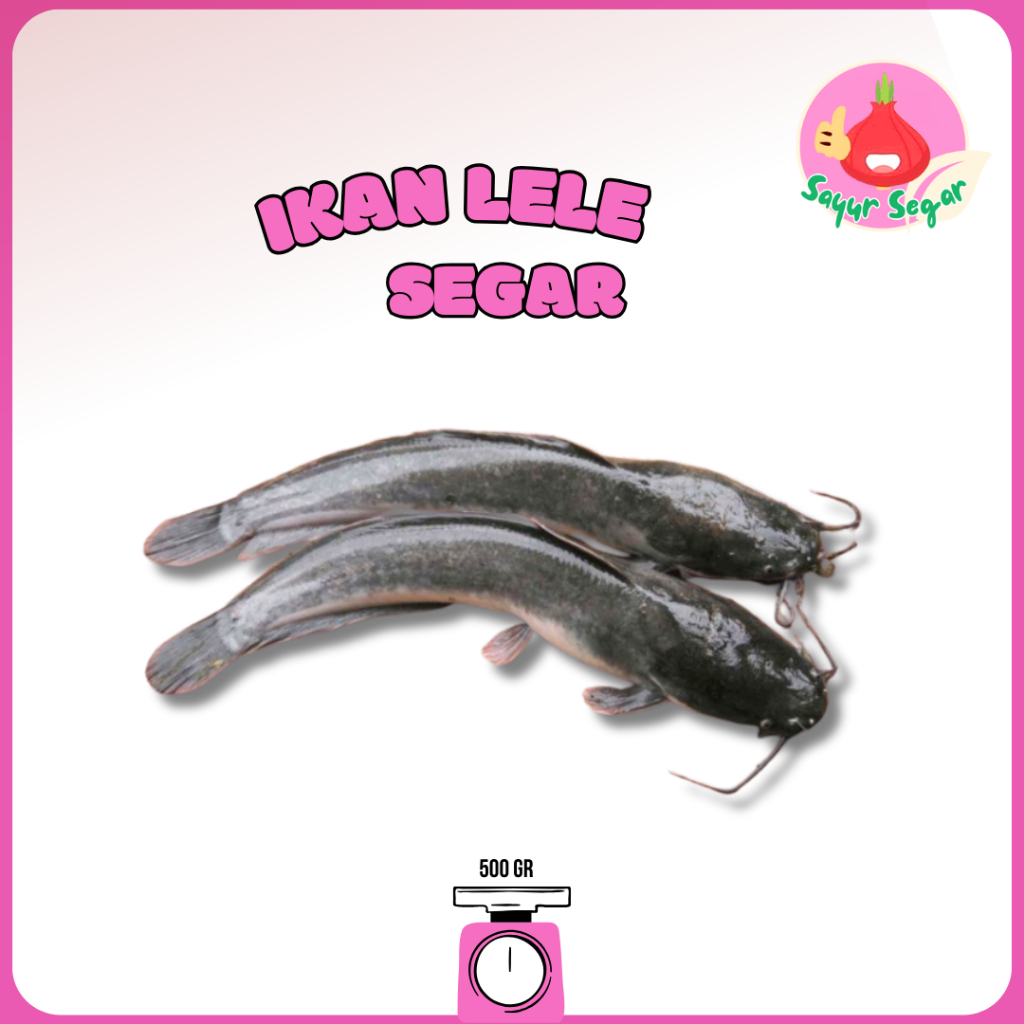 

Sayur Segar - Ikan Lele Super Segar/CatFish 500gr