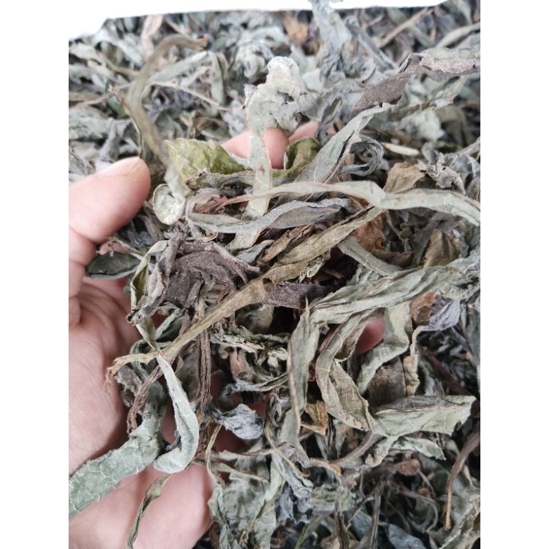 

daun tempuyung kering 300gram