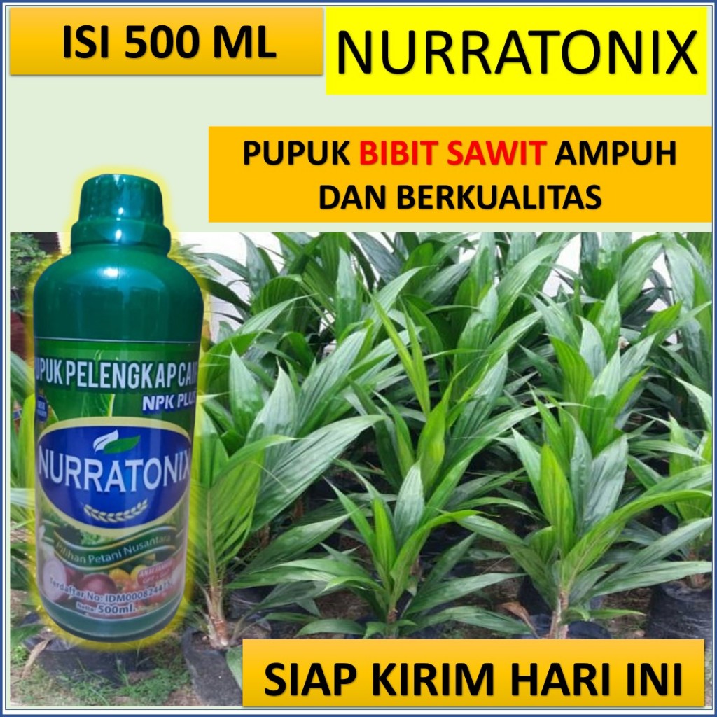 Paling laris NURRATONIX  ML  pupuk untuk mempercepat pertumbuhan bibit sawit - pupuk untuk menghijau