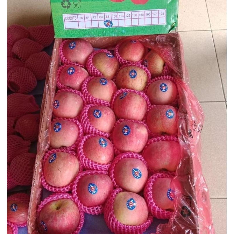 

Indukbuah Buah Apel Fuji 88 Manis 1 Dus ±17Kg