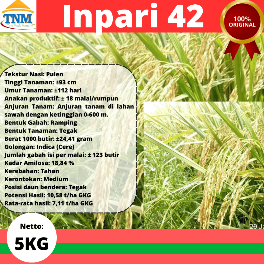 Biji Padi Inpari 42 Premium kemasan 5KG