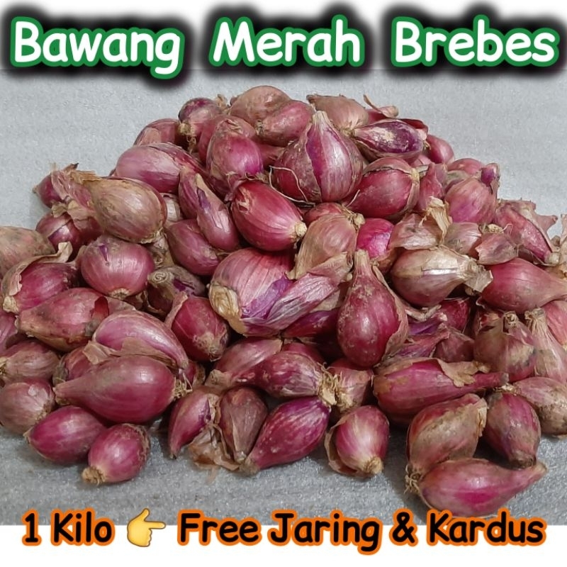 

Bawang Merah Brebes 1 Kilo