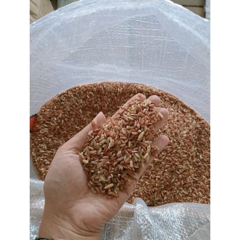 Beras Merah Pakan Burung Repack