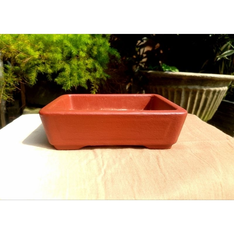 Pot Bonsai Semen Mame Kotak 07