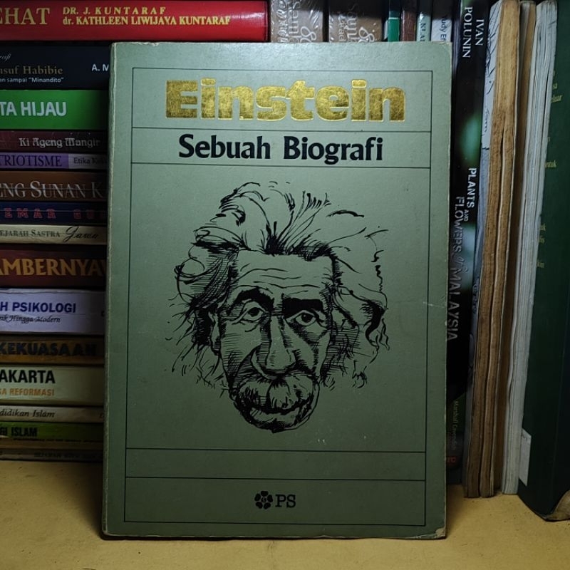 buku | EINSTEIN SEBUAH BIOGRAFI (rak c)
