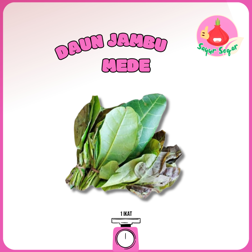 

Sayur Segar - Daun Jambu Mede Lalap 1 ikat / Chasew Leaves