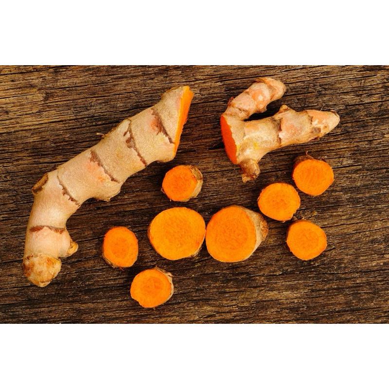 

Kunyit | Tumeric Berkualitas Segar Murah Bagus