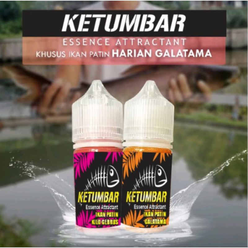 Essen Katumbar Ikan Patin Paling Ampuh / Essen Khusus Ikan Patin Harian Kilogebrus / Essen Ikan Pati