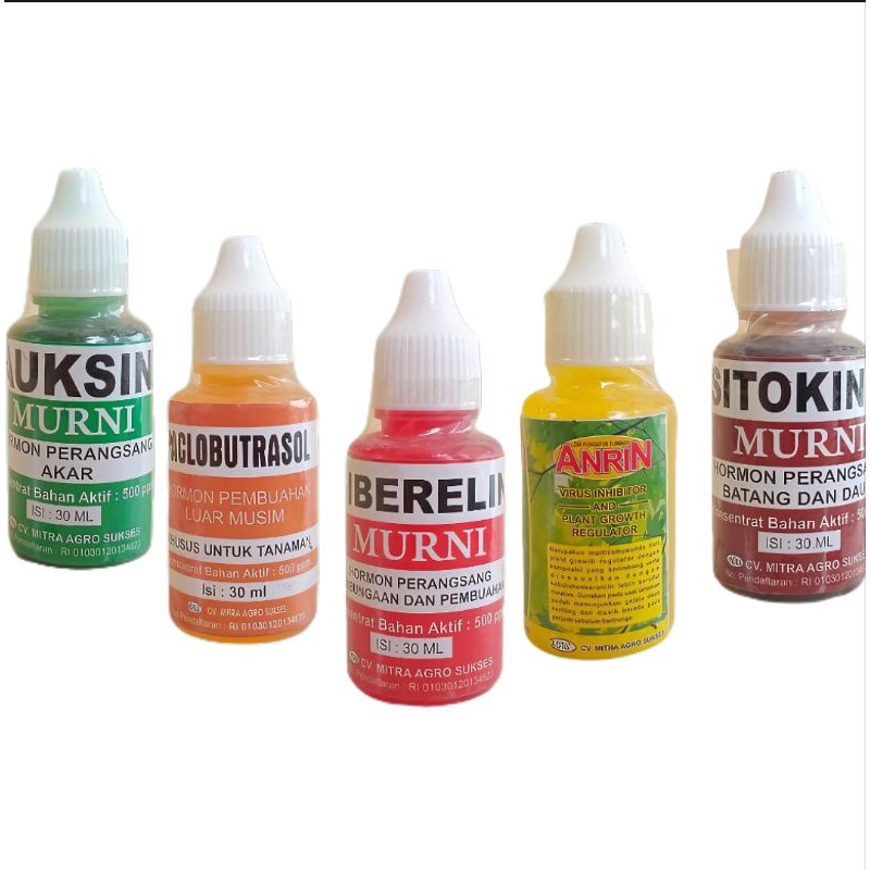 Auksin 30 ml | Sitokinin | Giberelin | Anrin | Paclobutrazol