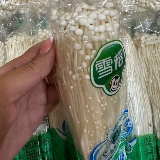 

Jamur Enoki 1 pcs