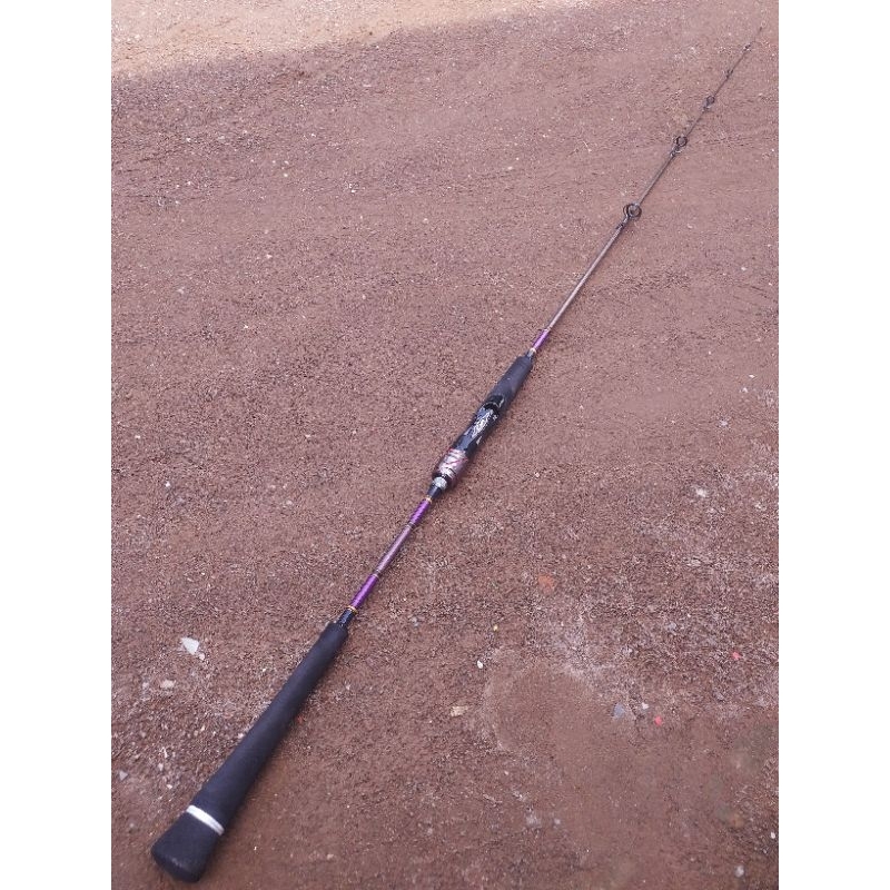 Rod Jigging series 165cm ring fuji