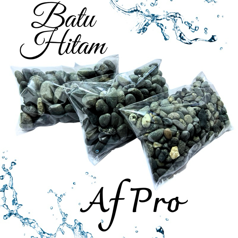 BATU KORAL HITAM BATU HITAM HIASAN DEKORASI AQUARIUM AQUASCAPE