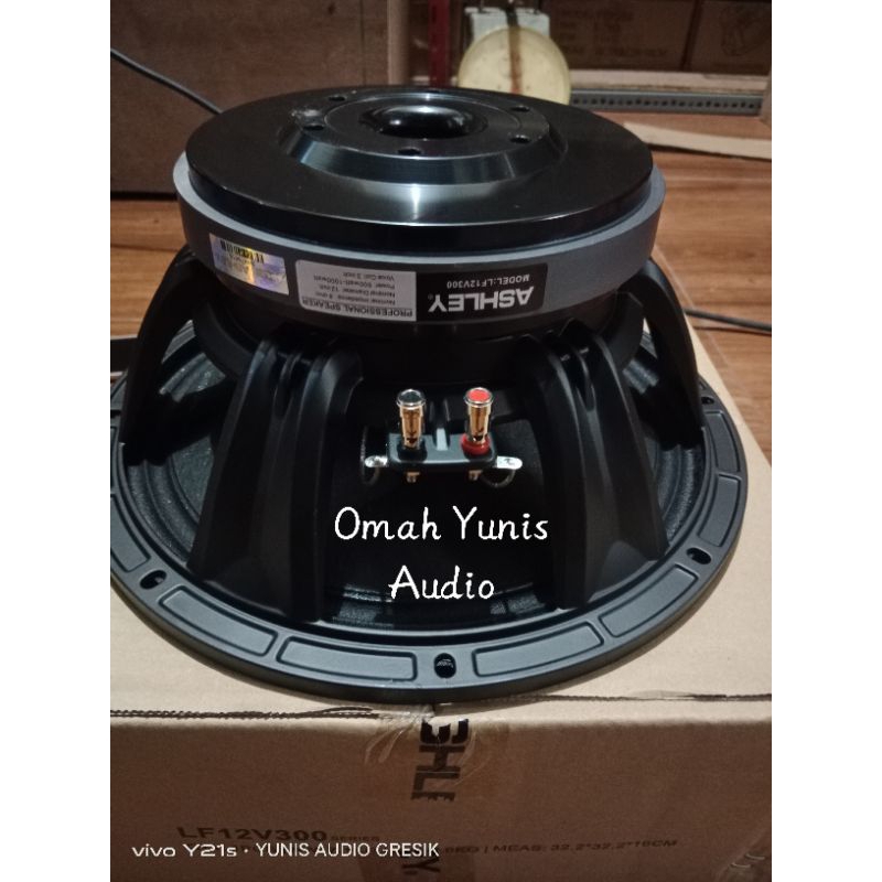 SPIKER ASHLEY LF-12V300 12inchi