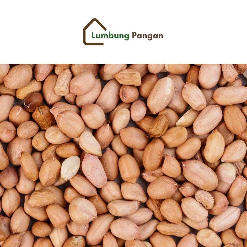 

Kacang tanah, kacang rendang, kacang hijau 250 gram | Toko Lumbung Pangan