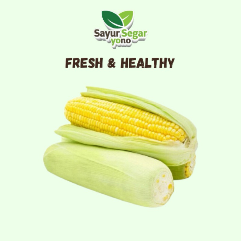 

Jagung Madu FRESH! 1 Pcs