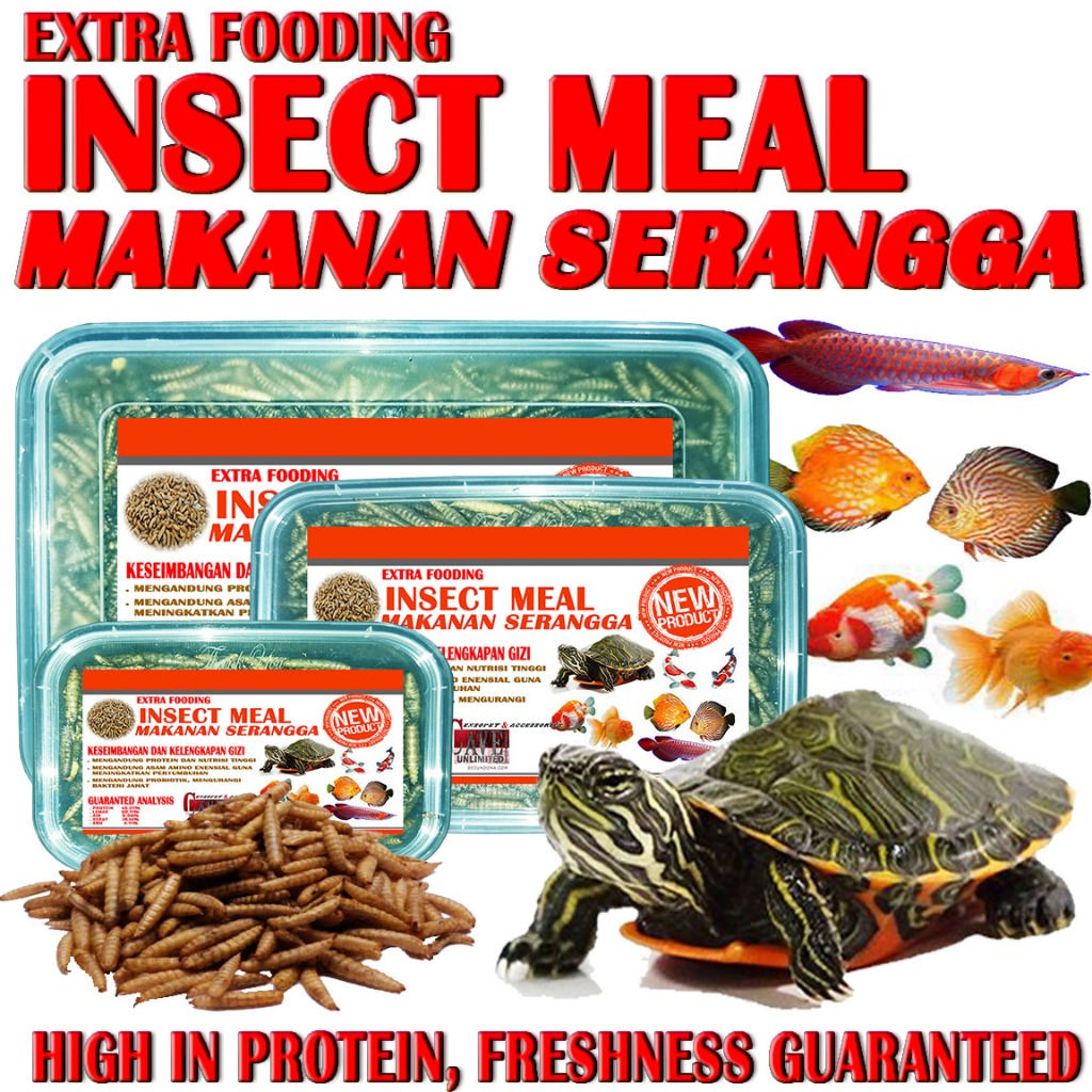 400GR INSECT MEAL PAKAN KURA-KURA AIR MAKANAN IKAN HIAS CHANA ARWANA MAS KOKI LOUHAN TURTLE FOOD KUR