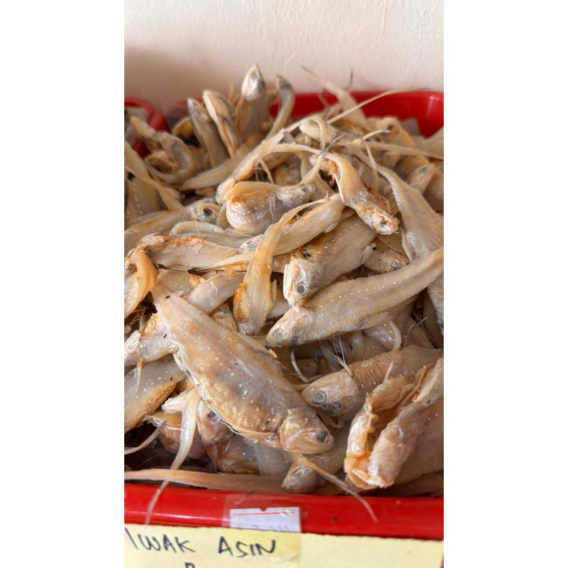 

Iwak Asin Kering - Iwak Asin Bulu Ayam