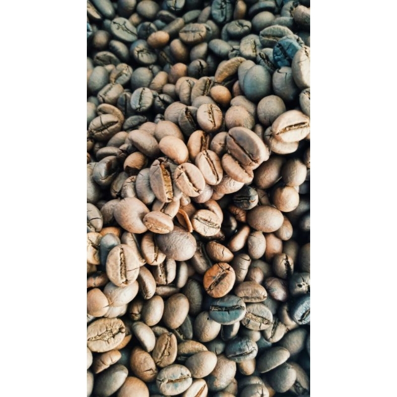 

biji kopi mentah lokal lereng gunung Kawi 1kg