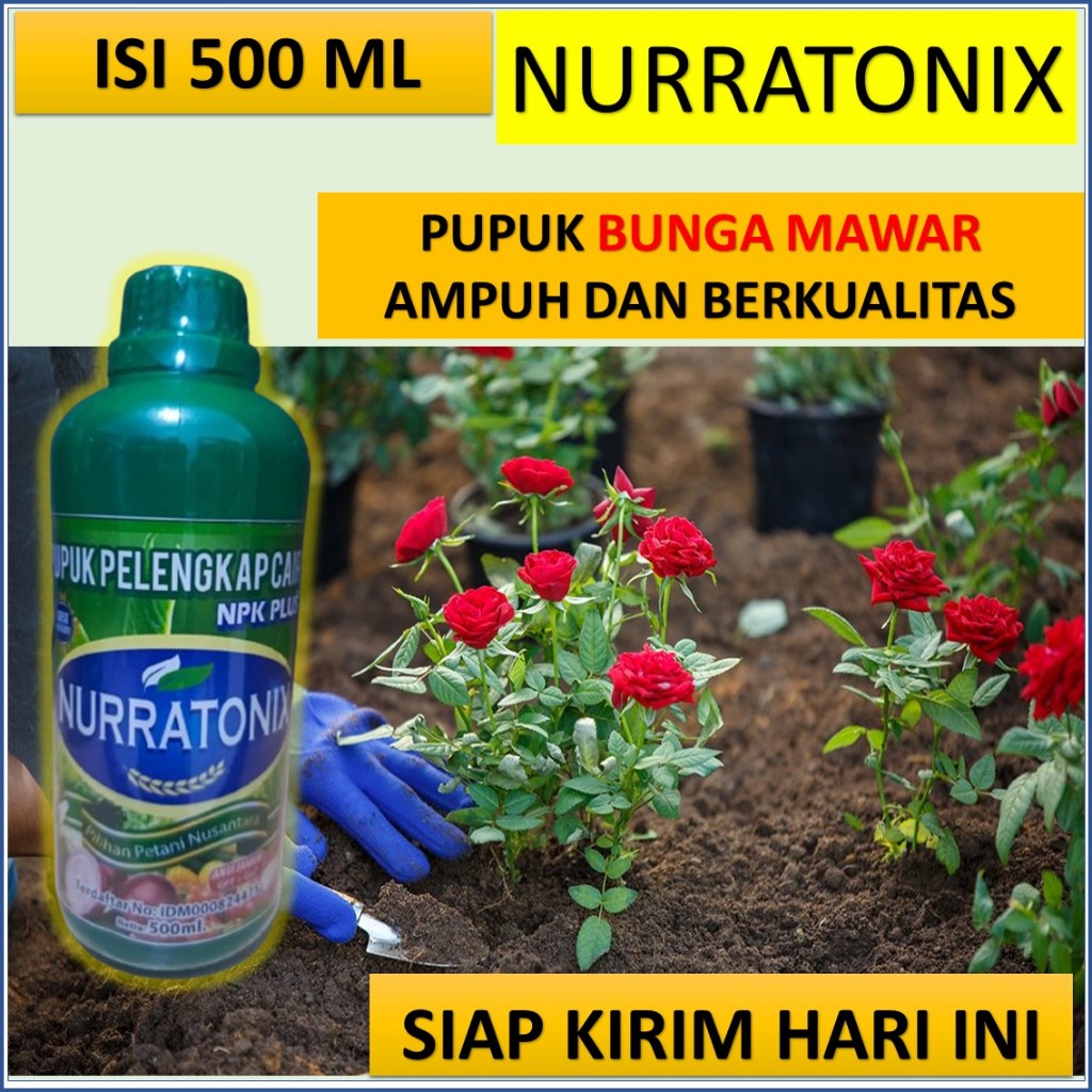 npk nurratonix 500 ml pupuk bunga mawar agar berbunga lebat - pupuk npk untuk bunga mawar - pupuk bu