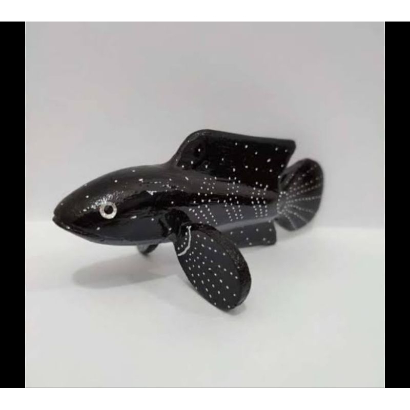 patung single bahan high Fin white spot asiatica mantap replika