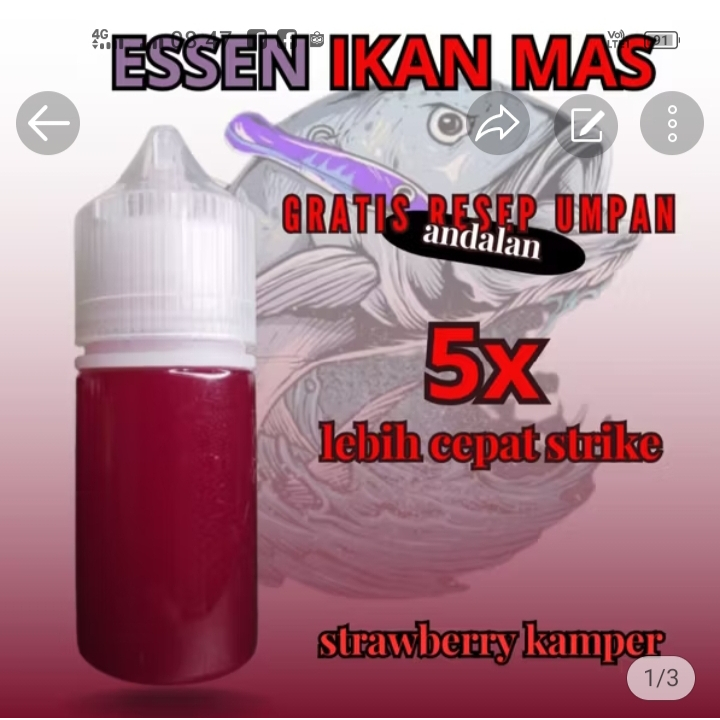 Essen ikan mas jago pancing paling jitu ,ampuh essen ikan mas rame paling gacor amis wangi