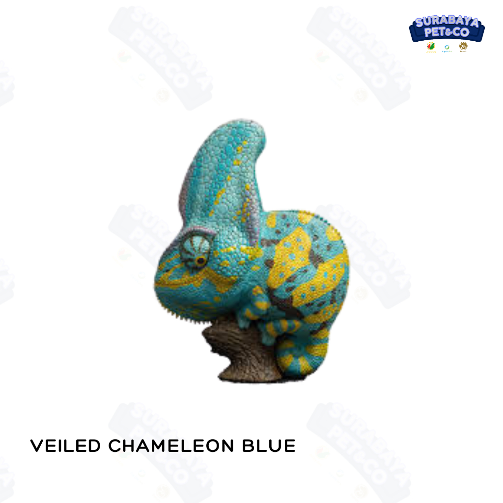ANIMAL HEAVENLY BODY Veiled Chameleon BLUE - Chamaeleo Calyptoratus