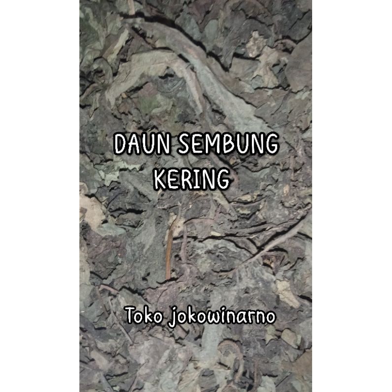 

[ 500.gr ] Daun Sembung / Daun Afrika_ Setengah kilo