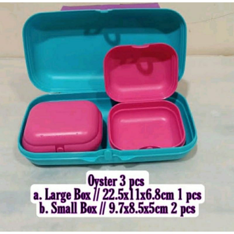 Oyster Tupperware baru