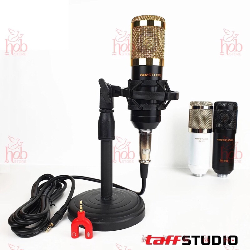 Microphone condenser BM 800 Taffstudio with stand duduk