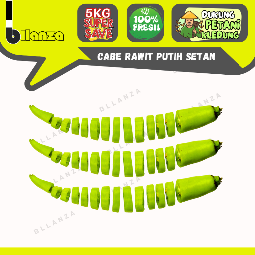 

Bllanza | Cabe Rawit Putih — Lgs Petani GROSIR Termurah (C)