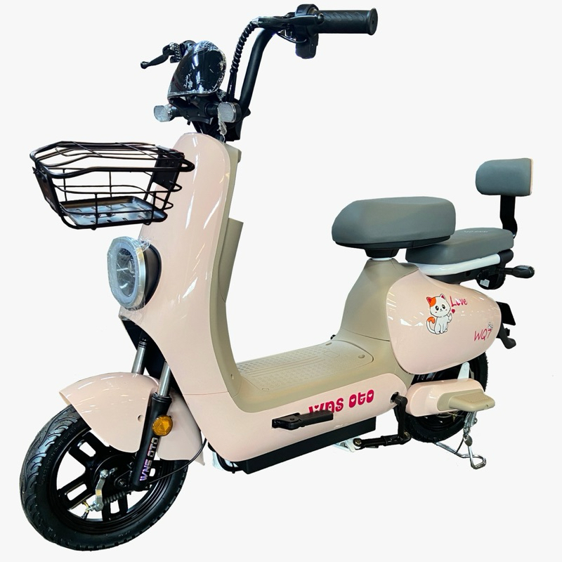 sepeda listrik wns oto tipe WQ7 500w sepeda listrik motor listrik