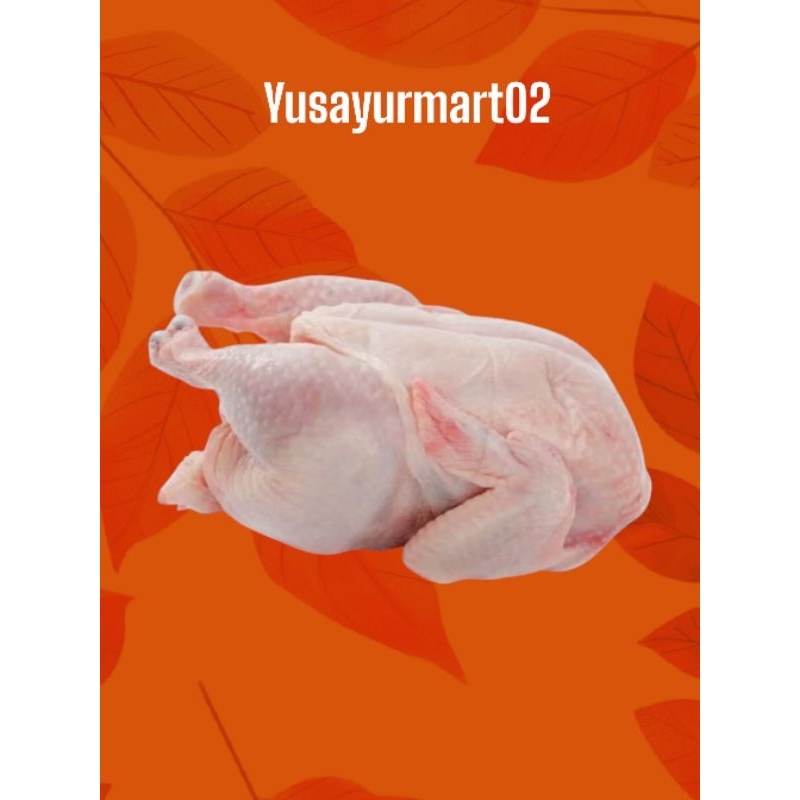 

ayam boiler 1 ekor berat 1,3 kg