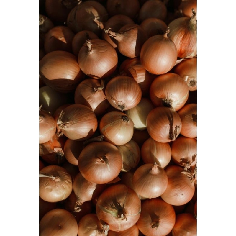 

Bawang Bombay Freshh/Super Segarr kering/Termurah