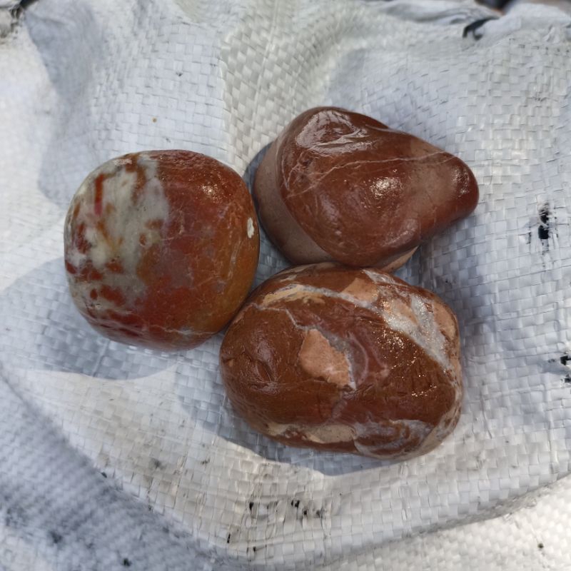 Batu Merah Sakit 20kg KARUNGAN / Termurah / Batu Coklat Merah Loreng / Batu Koral Merah Hati / Batu 
