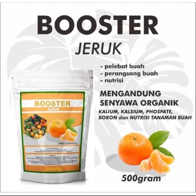 Pupuk organik booster buah jeruk kietna kesturi perangsang akar tanaman