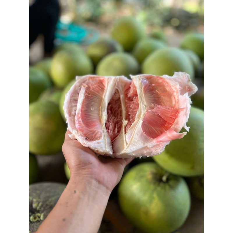 

jeruk pamelo madu berat 8-9ons