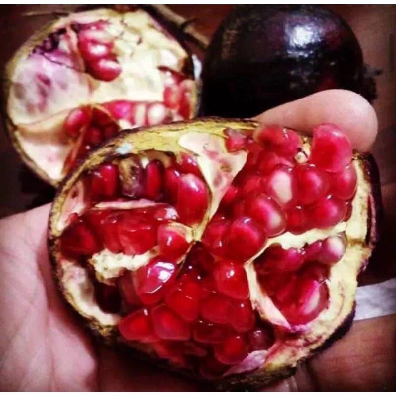 

delima wulung/delima hitam.1kg