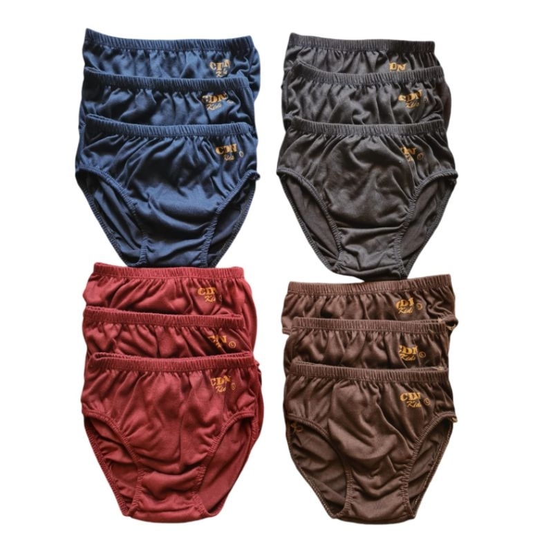 12pcs cd anak cowo,celana dalam anak cowo