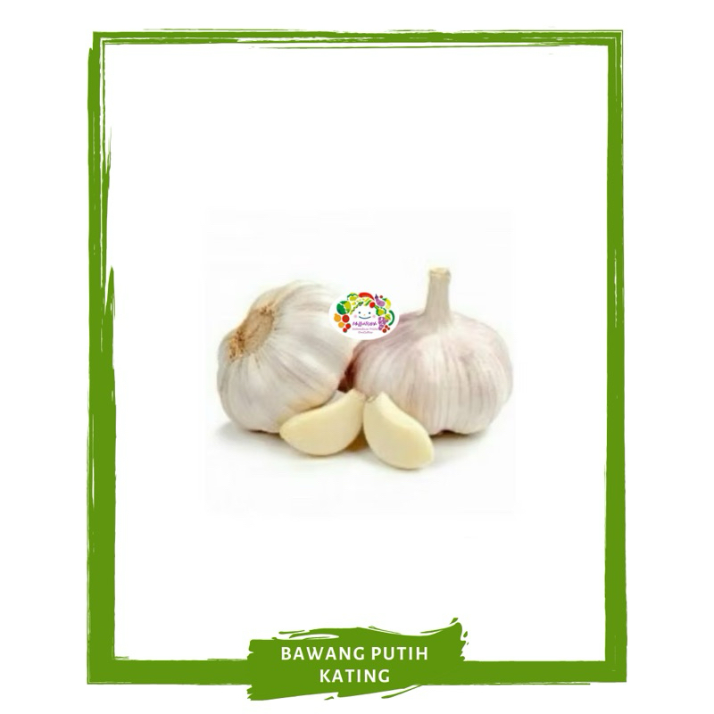 

Bawang Putih Kating / Sayur Segar By Sayur Mallah