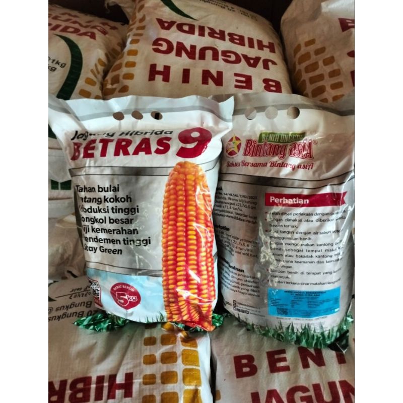 benih jagung hibrida betras 1