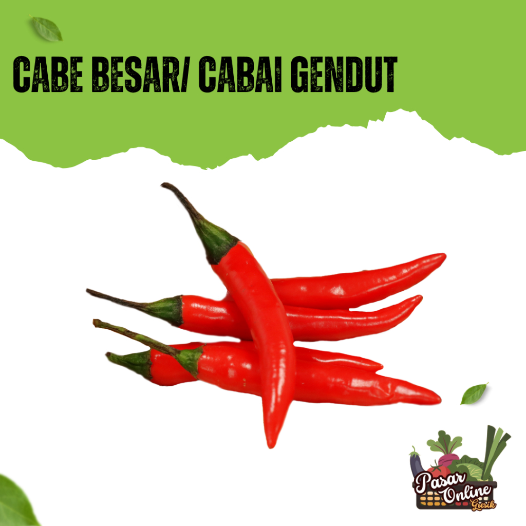 

CABE BESAR / CABAI GENDUT - 100GR