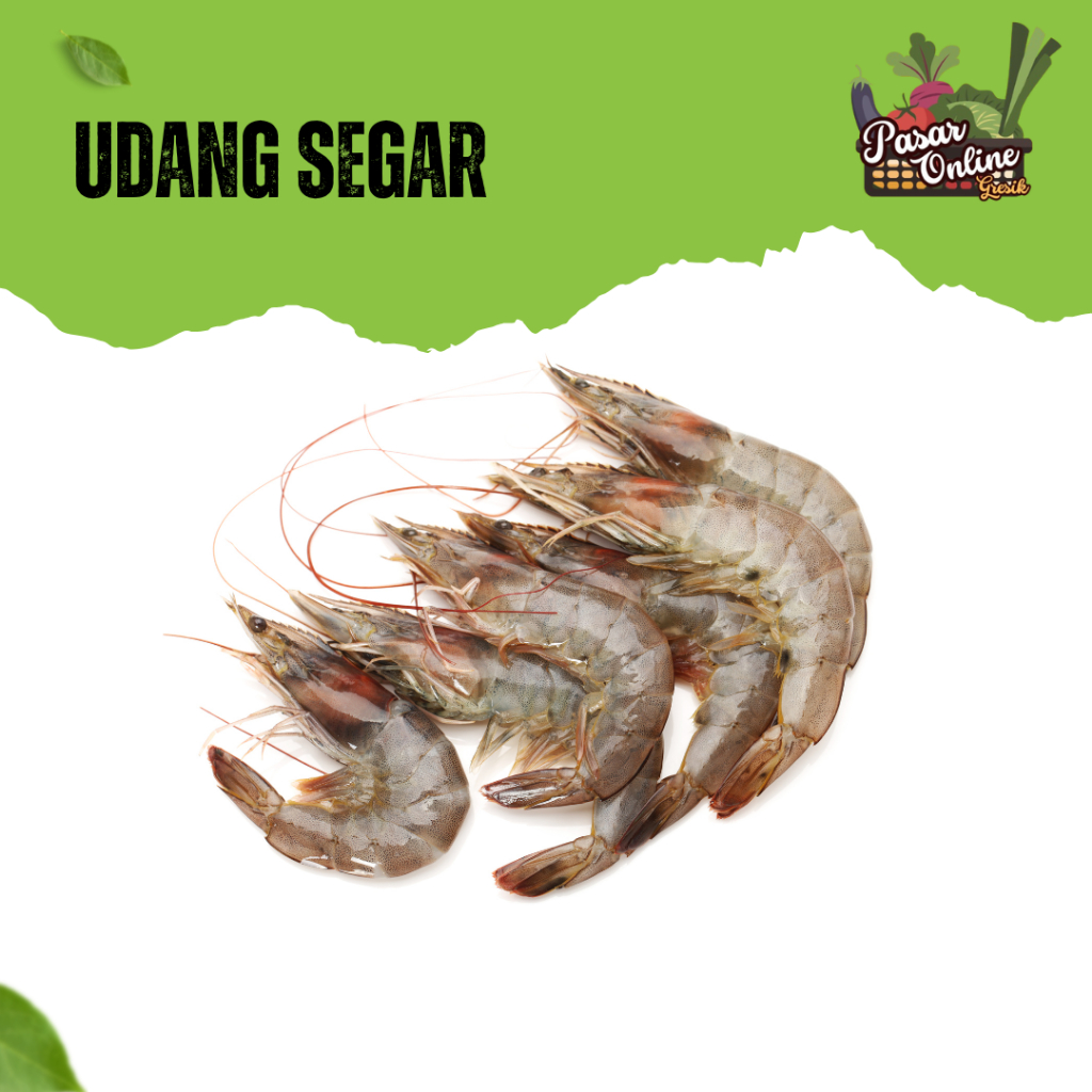 

UDANG SEGAR VANAME - 250GR