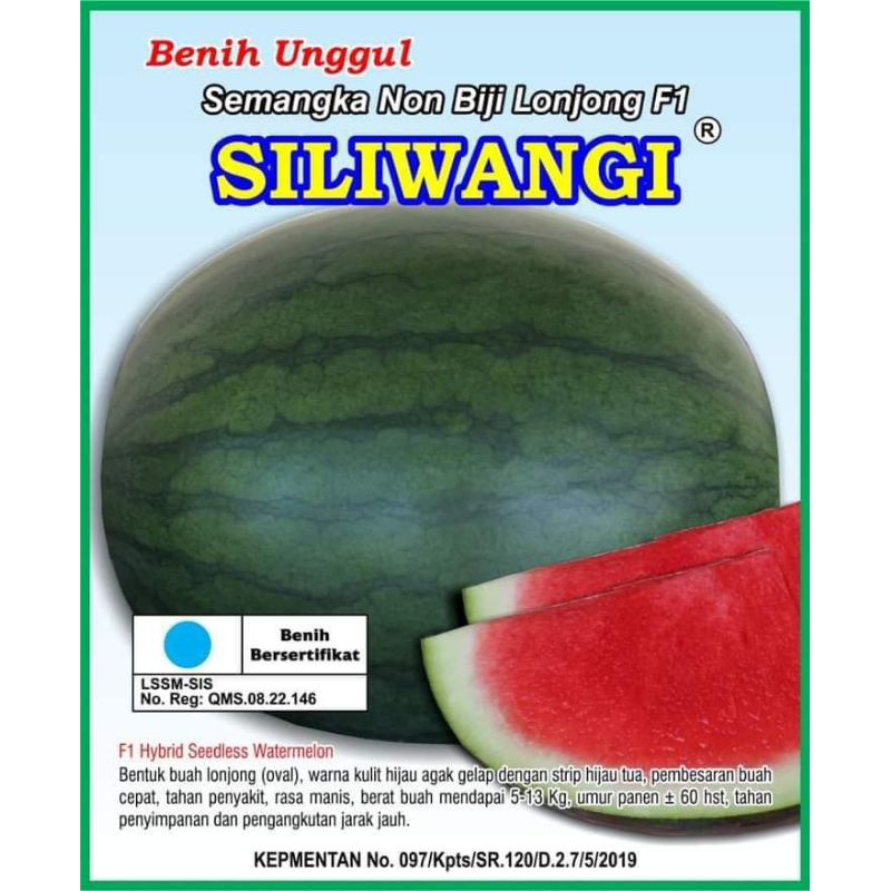 (Siliwangi F1, 20 gram) 350 biji bibit semangka non biji oval SAMPOERNA JAYA