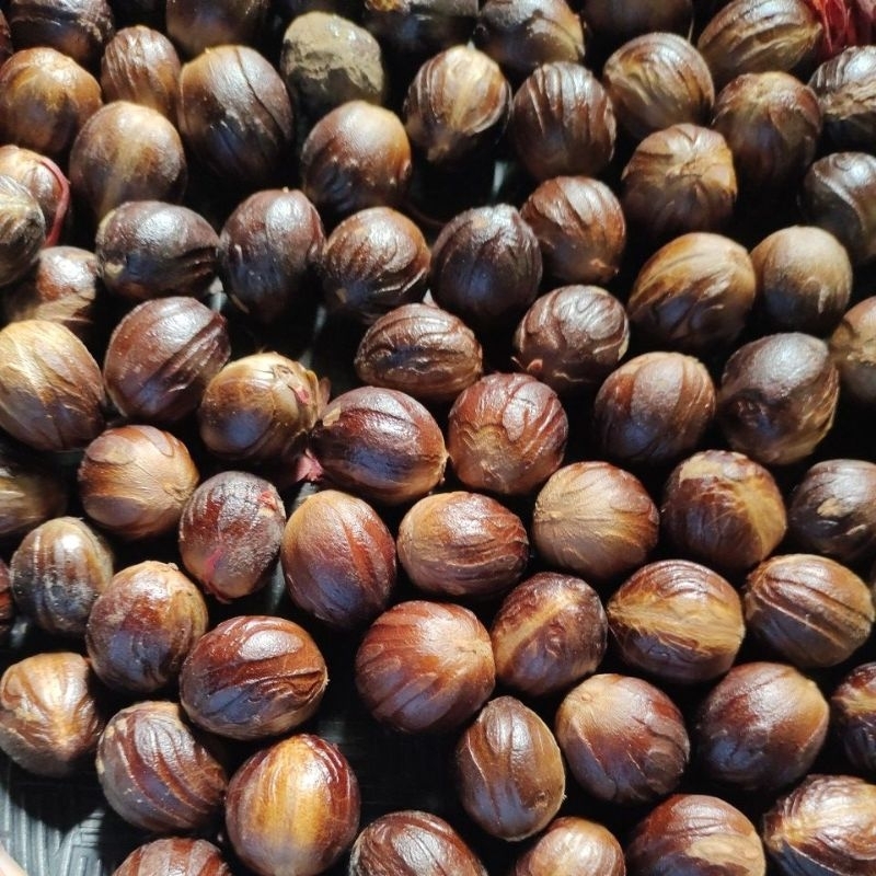 

SINOKBALQIS buah pala rempah kering