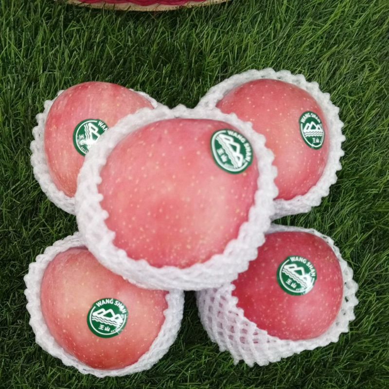 

Buah Apel wangsan ukuran 210 G Satuan