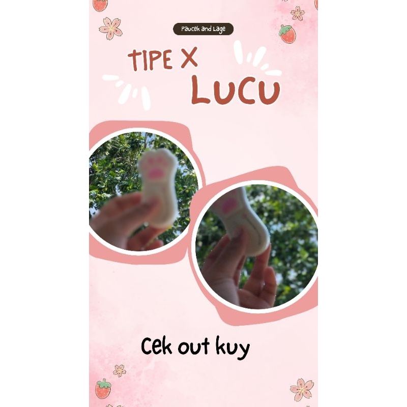 

tipe x paw cat